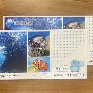 新江ノ島水族館 ご招待券 チケット 水族館 2枚 招待券