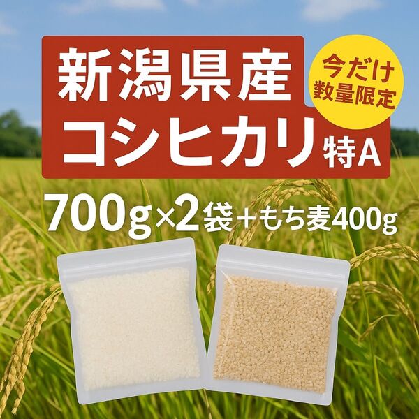 【数量限定】新潟県産〈特A〉コシヒカリ1.4kg&もち麦400gセット|冷蔵冷凍OK!新潟県産コシヒカリ新潟県産コシヒカリ