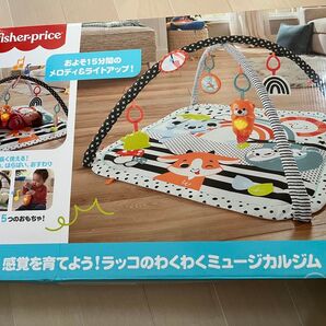fisher-price わくわくミュージカルジム