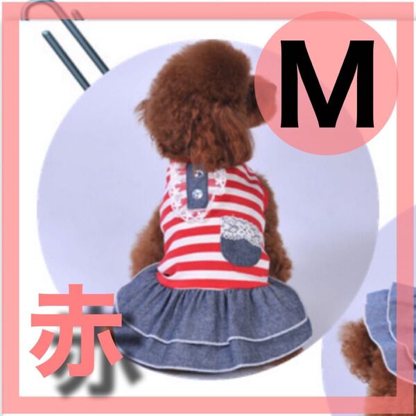 ボーダー ワンピース 犬 犬服 ビジュ デニム 赤 M