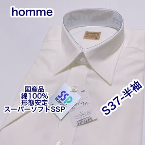 homme 国産品 綿100% 形態安定 半袖ワイシャツ S 37 SSP