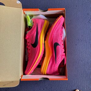 NIKEドラゴンフライ未使用27cm