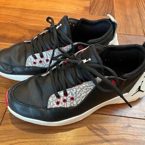 NIKE AIR JORDAN ADG2