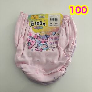 新品 女児 ショーツ 100cm 2枚組 綿100%
