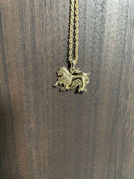 ネックレス ゴールドカラー