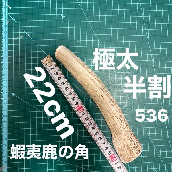 鹿の角 鹿のツノ 鹿角 鹿ツノ シカツノ 蝦夷鹿 おもちゃ 角 犬用品 鹿ノ角・犬・シカ・エゾシカ・シカの角・