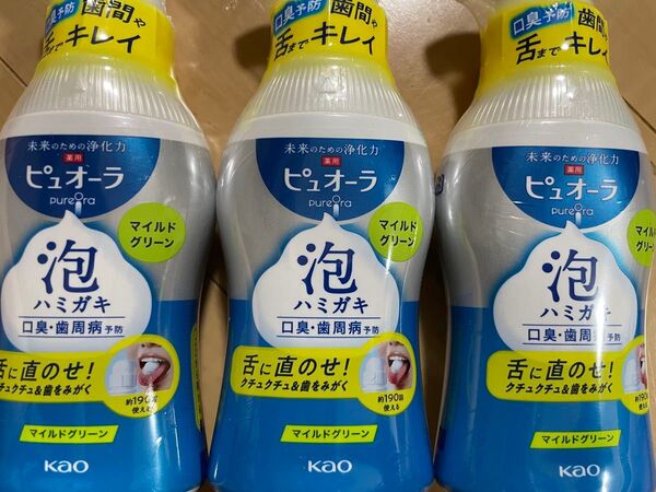 ピュオーラ 泡ハミガキ マイルドグリーンの香味 190ml×3本