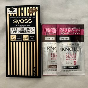 サイオス ヘアコンシーラー ナチュラルブラウン スティーブンノル カラートリートメント 雑誌付録