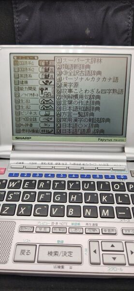 【動作確認済】シャープ パピルス 電子辞書PW-A700 独和辞典などコンテンツカード付(PW-CA13)、ケース付