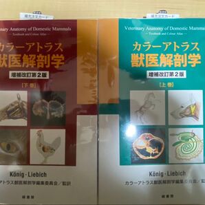 カラーアトラス獣医解剖学 第二版