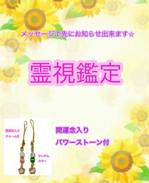 《期間限定価格》霊視鑑定 お悩み1件 鑑定書 開運パワーストーン 送付