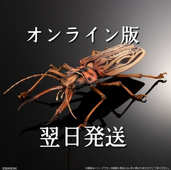 いきもの大図鑑アドバンス オオキバウスバカミキリとハンミョウ オンライン版 後羽付き ディスプレイスタンドセット