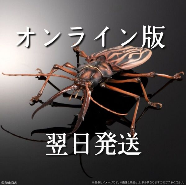 いきもの大図鑑アドバンス オオキバウスバカミキリとハンミョウ オンライン版 後羽付き ディスプレイスタンドセット