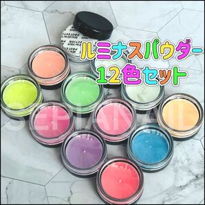 ルミナス 蓄光 パウダー 12色セット 個別ケース入り