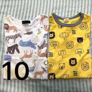 動物柄 半袖Tシャツ 2枚セット