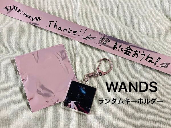 WANDS ランダム アクリルキーホルダー