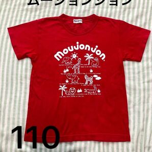 動物柄 ムージョンジョン 半袖Tシャツ 110