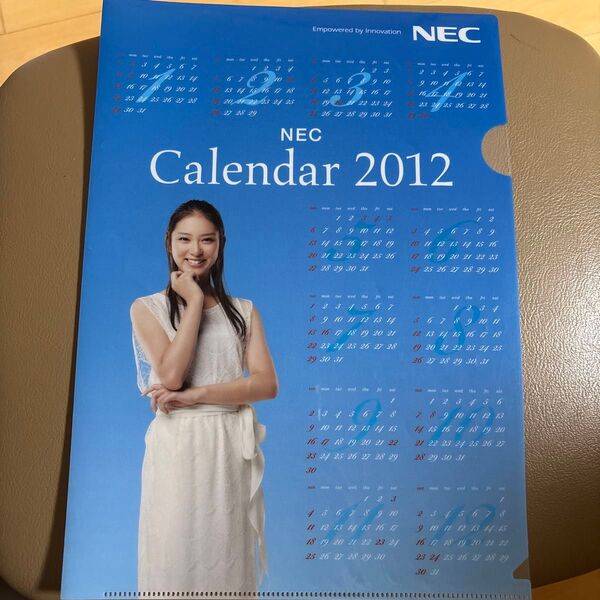 武井咲 クリアファイル カレンダー NEC たけいえみ 非売品 女優 タレント