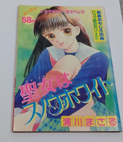 りぼん 別冊読み切り 浦川まさる 倉橋えりか レトロ 平成6年2月号付録