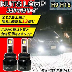 NUTSLAMP 車 ライト フォグライト フォグランプ H9 H16 LED オトナホワイト HID超え 超明るい 爆光 白色