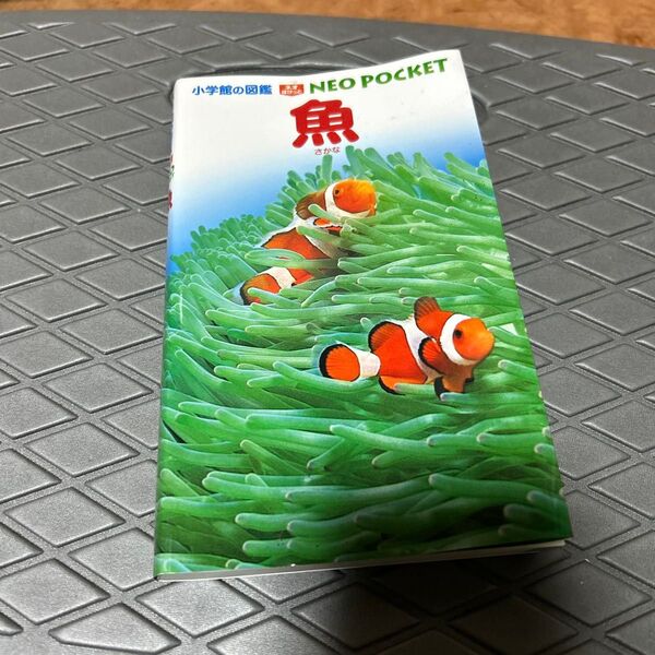 小学館の図鑑NEO POCKET 魚