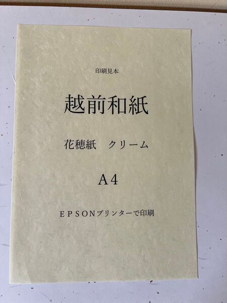 越前和紙 花穂紙 クリーム A4 100枚