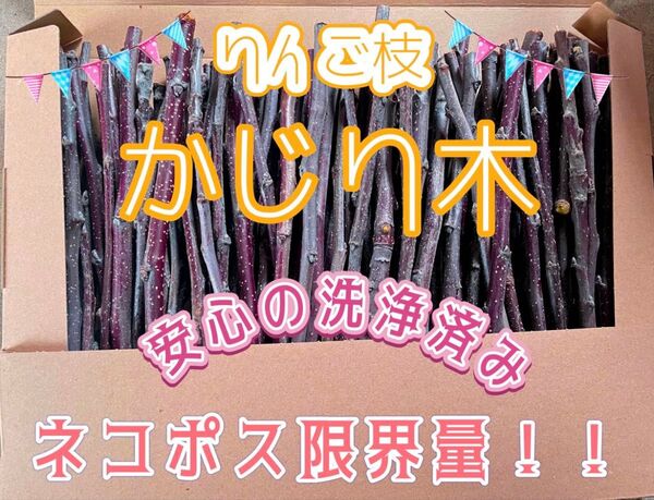 りんご枝 かじり木