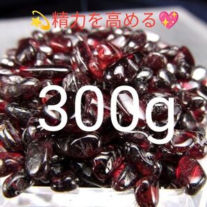 300g★限定ご奉仕★実りの象徴☆真実の愛【小粒☆ガーネット『柘榴石』さざれ】☆