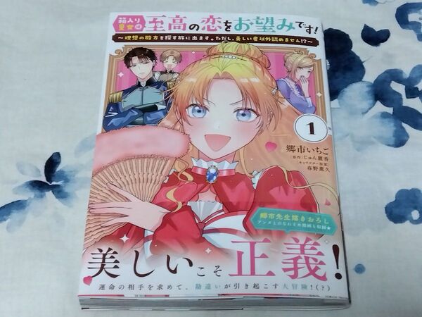 箱入り皇女は至高の恋をお望みです! 理想の殿方を探す旅に出ます。ただし、美しい者以外認めません!? 1 (ビーズログコミックス)