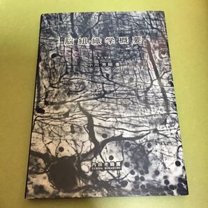 ◎脳組織学概要 小川芳昭