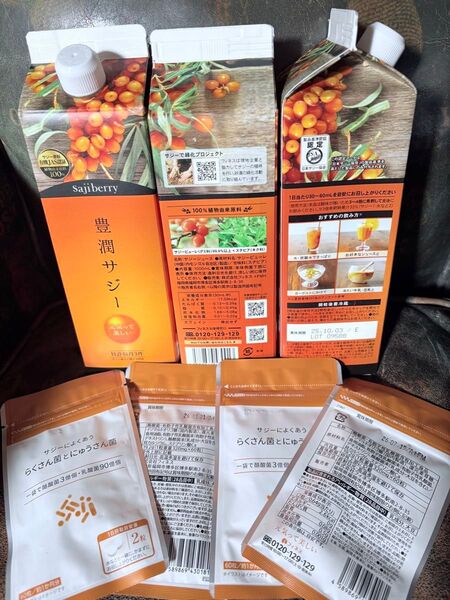 【値下げ】フィネス 豊潤サジー 1000ml 3本セット らくさん菌とにゅうさん菌 60粒4袋