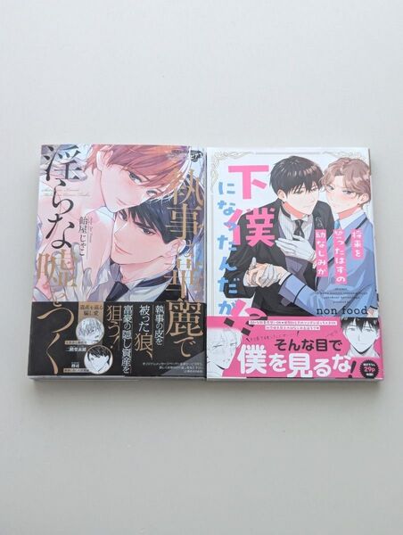 執事は華麗で淫らな嘘をつく 将来を誓ったはずの幼なじみが下僕になったんだが!?