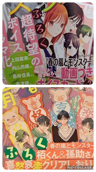 春の嵐とモンスター 動画付きボイスカード&クリアしおり 花とゆめ6号8号ふろく 付録 新品未開封 白泉社 ミユキ蜂蜜 コミック