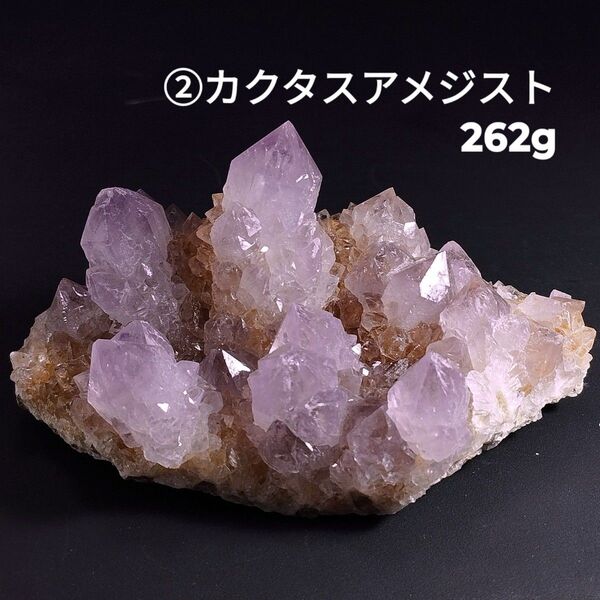 ②原石 クラスター カクタスアメジスト カクタス水晶 カクタスクォーツ 262g スピリットクォーツ さぼてん サボテン 多肉植物