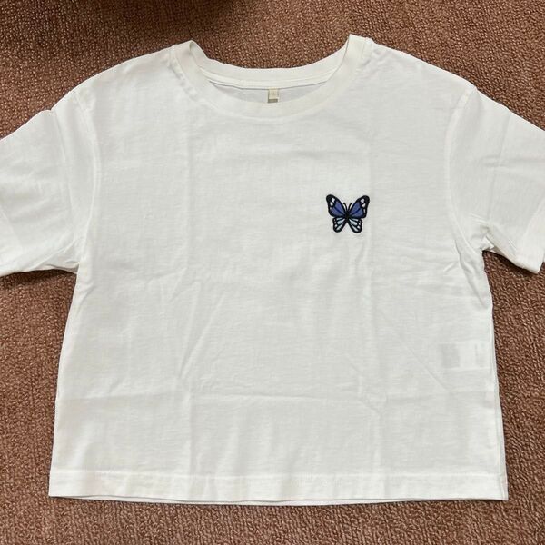 半袖Tシャツ