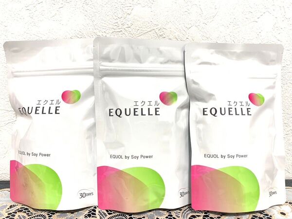 【24時間以内発送 新品未使用】エクエル パウチ120粒30日分 ×3袋