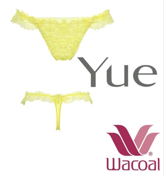 Wacoal yue 61G ソフトなはきごこちTバックショーツ M ソング