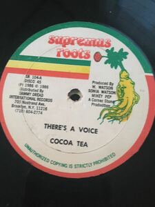 there's a voice/cocoa tea
