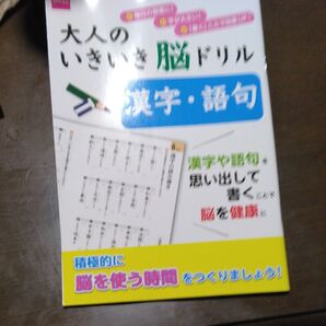 大人のいきいき脳ドリル 漢字・語句ダイソー