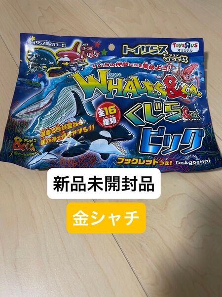 くじら&co.ビッグ 金のシャチ 新品未開封品