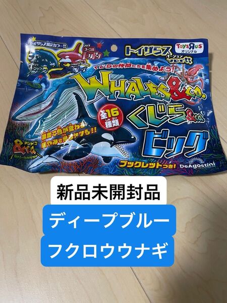 くじら&co. トイザらス限定カラー ディープブルー フクロウナギ スーパーレア 新品未開封品