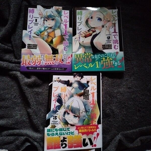 レベル1で挑む縛りプレイ!1巻〜3巻セット 初版本 帯付き(シリウスKC) 北川ニキタ/原作 大鐘いしや/漫画 刀彼方/
