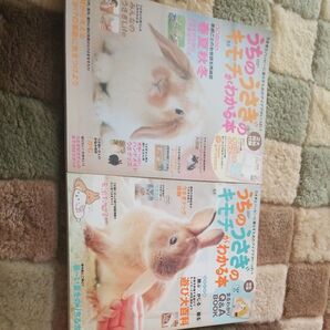 うちのうさぎのキモチがわかる本 うさぎ 飼育 2冊まとめて