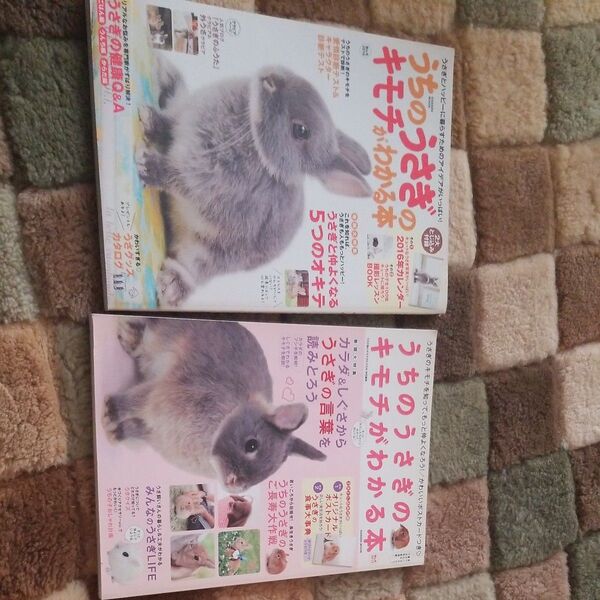 うちのうさぎのキモチがわかる本 うさぎ 飼育