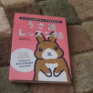 うさ語レッスン帖 うさぎ 飼育