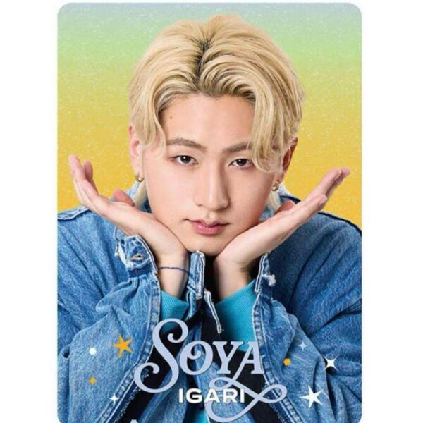 ジュニア 猪狩蒼弥 プロカ プロフィールカード 2025