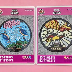 マンホールカード 愛媛県 2枚組