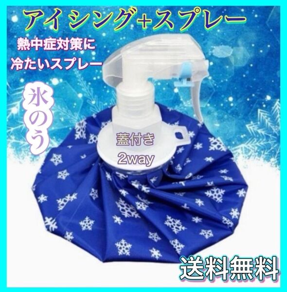 氷のう 熱中症対策 Mサイズ アイスバッグ 氷嚢 スプレー アイシング スポーツ 日常使い