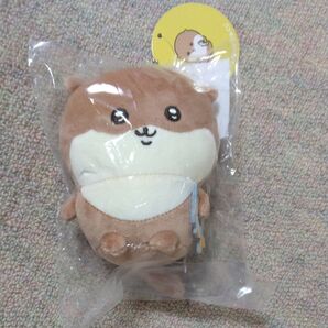 ナガノキャラクターズ ナガノのカワウソ ぬいぐるみくじ D賞 マスコット ぬいぐるみキーホルダー
