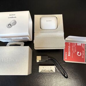 LinkBuds WF-L900WM ホワイト